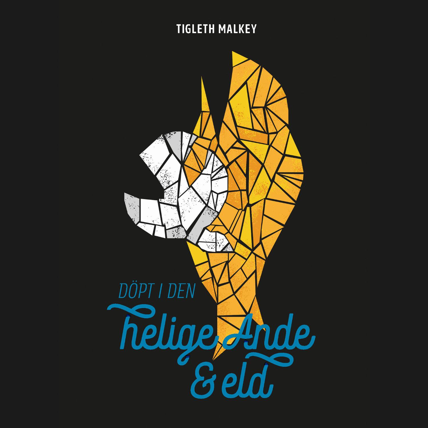 Döpt i den helige Ande & eld