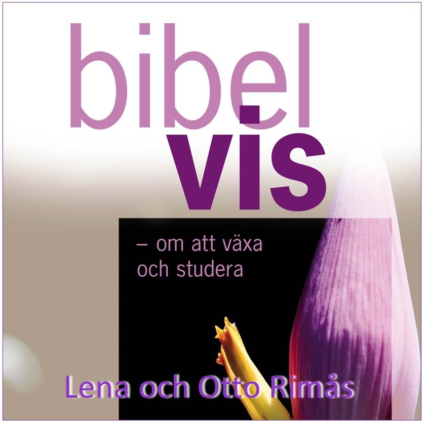 Bibelvis