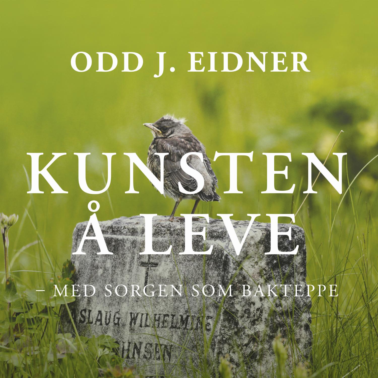 Kunsten å leve med sorgen som bakteppe